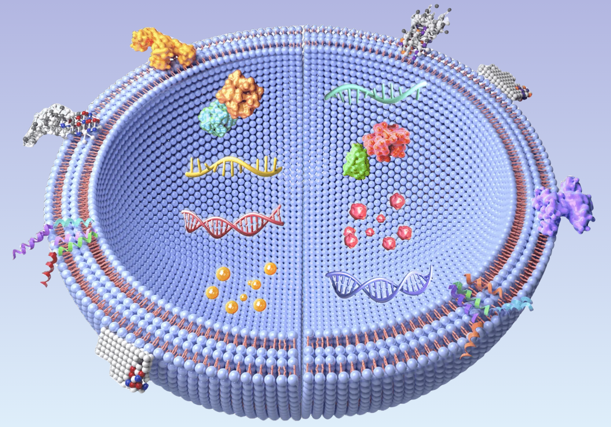 Thiet ke chua co ten